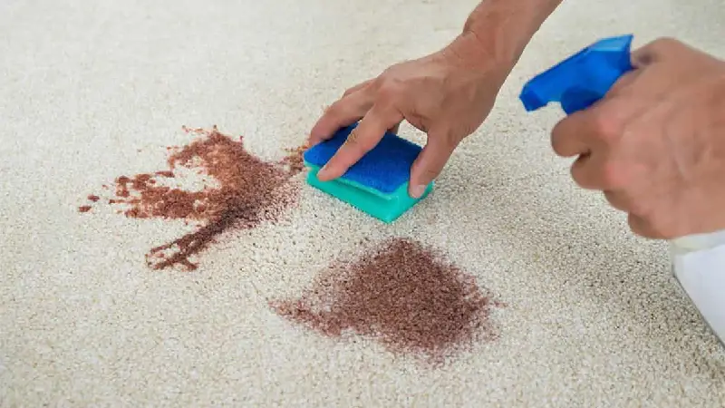 پاک کردن لکه کاکائو از فرش با سرکه