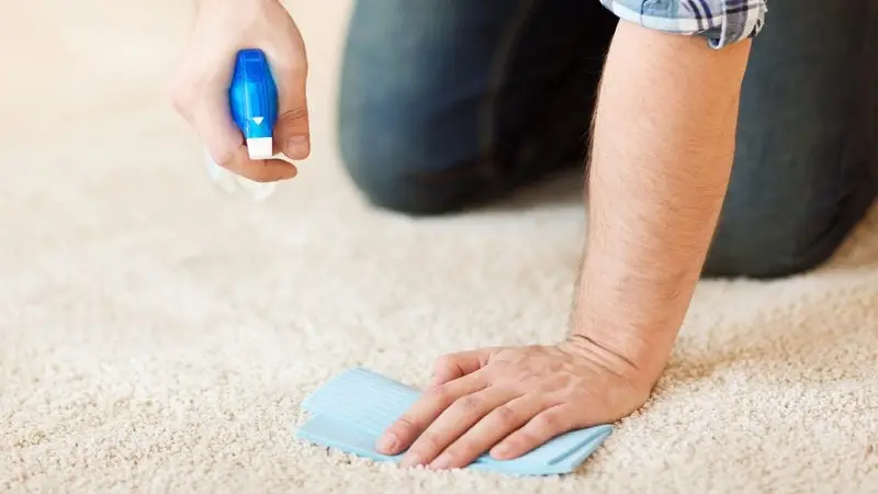 از بین بردن کپک روی فرش در منزل